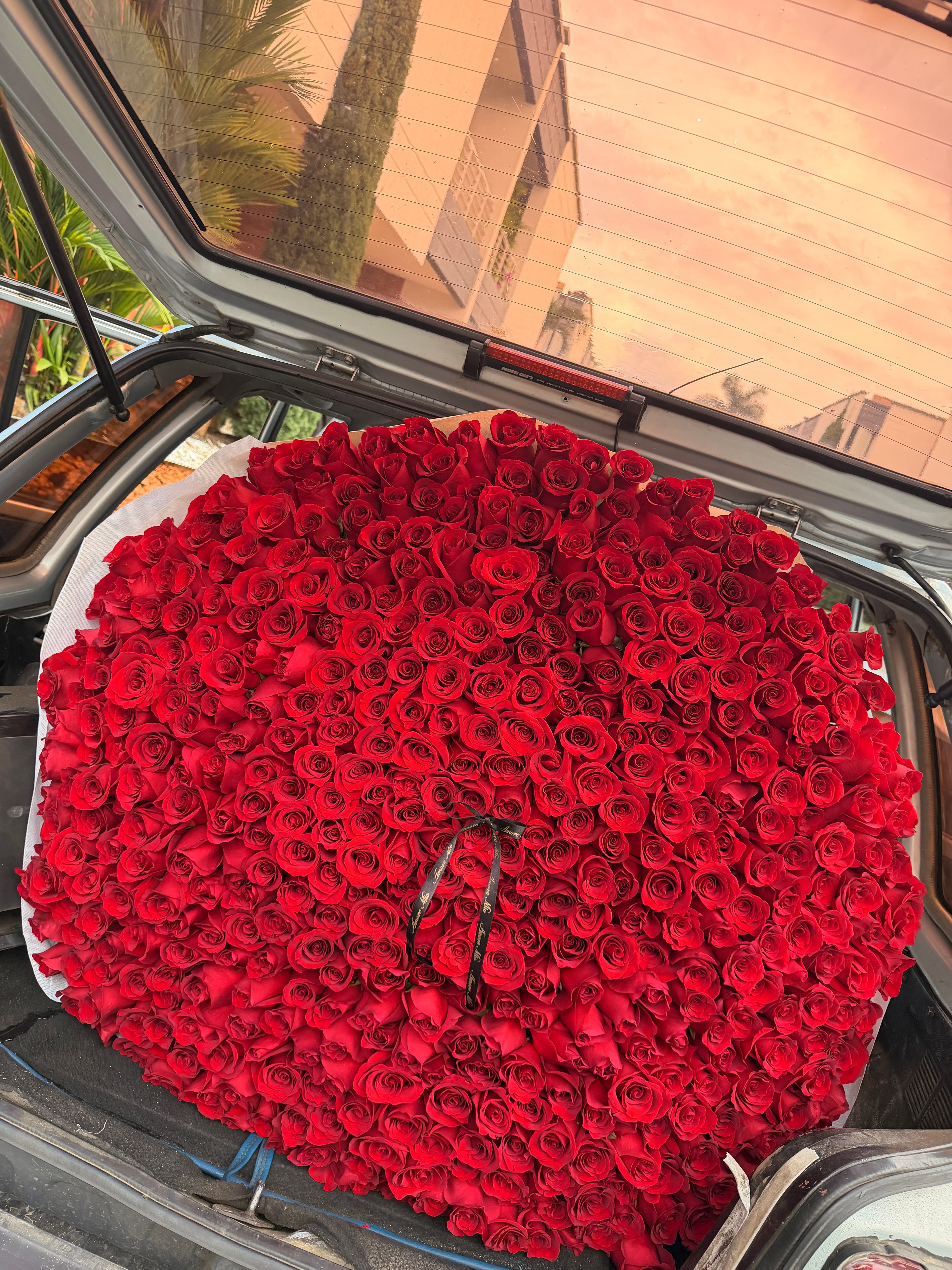 Bouquet x500 rosas