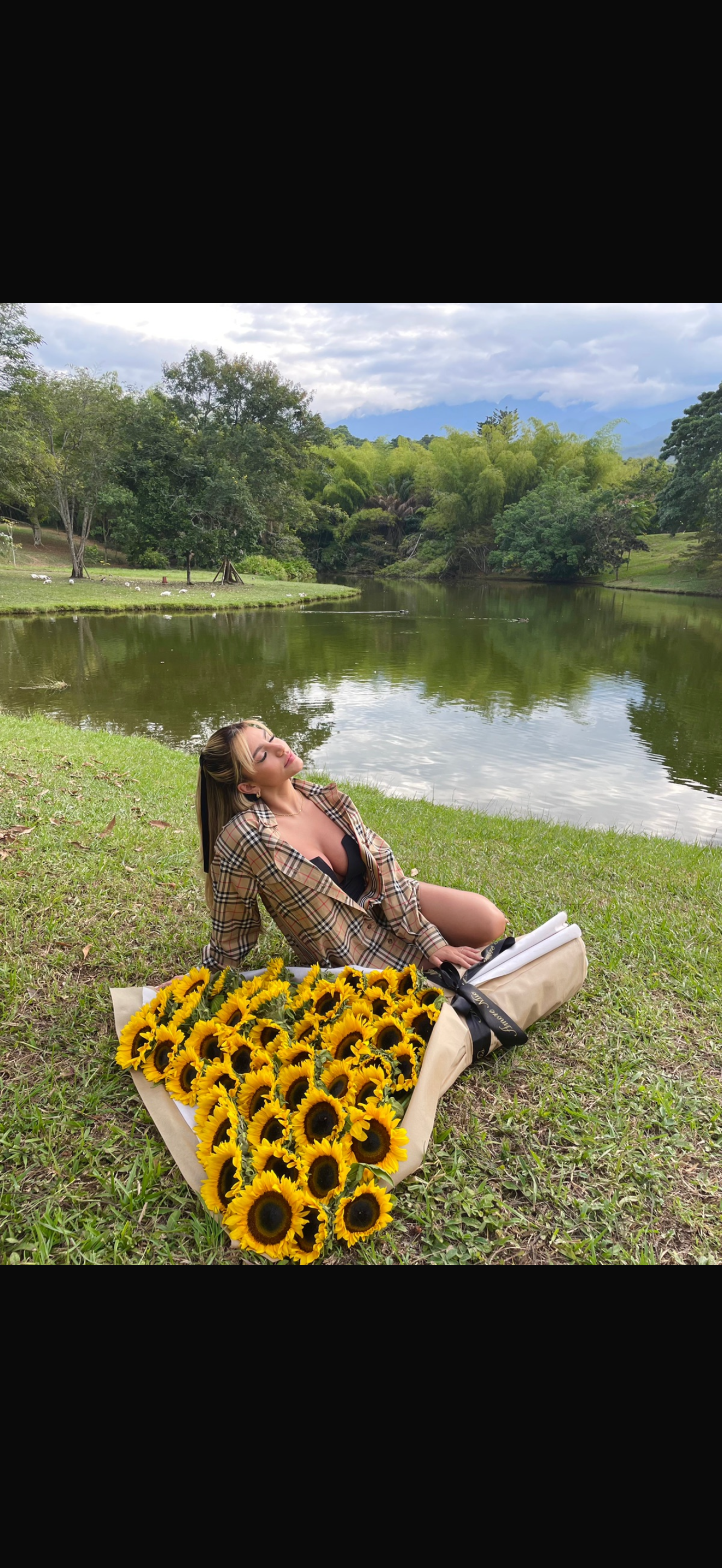 48 girasoles en corazón