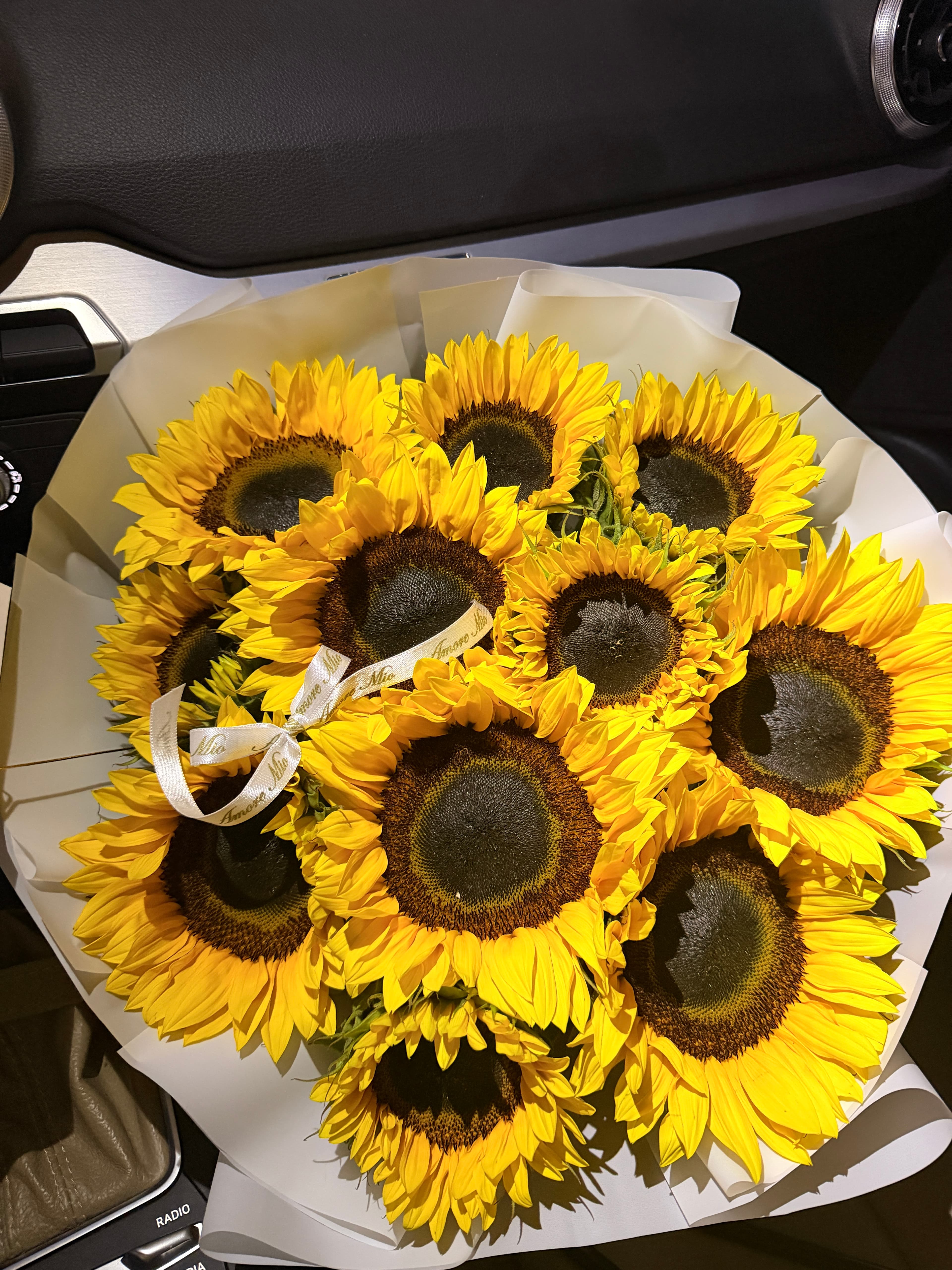 9-12 Girasoles