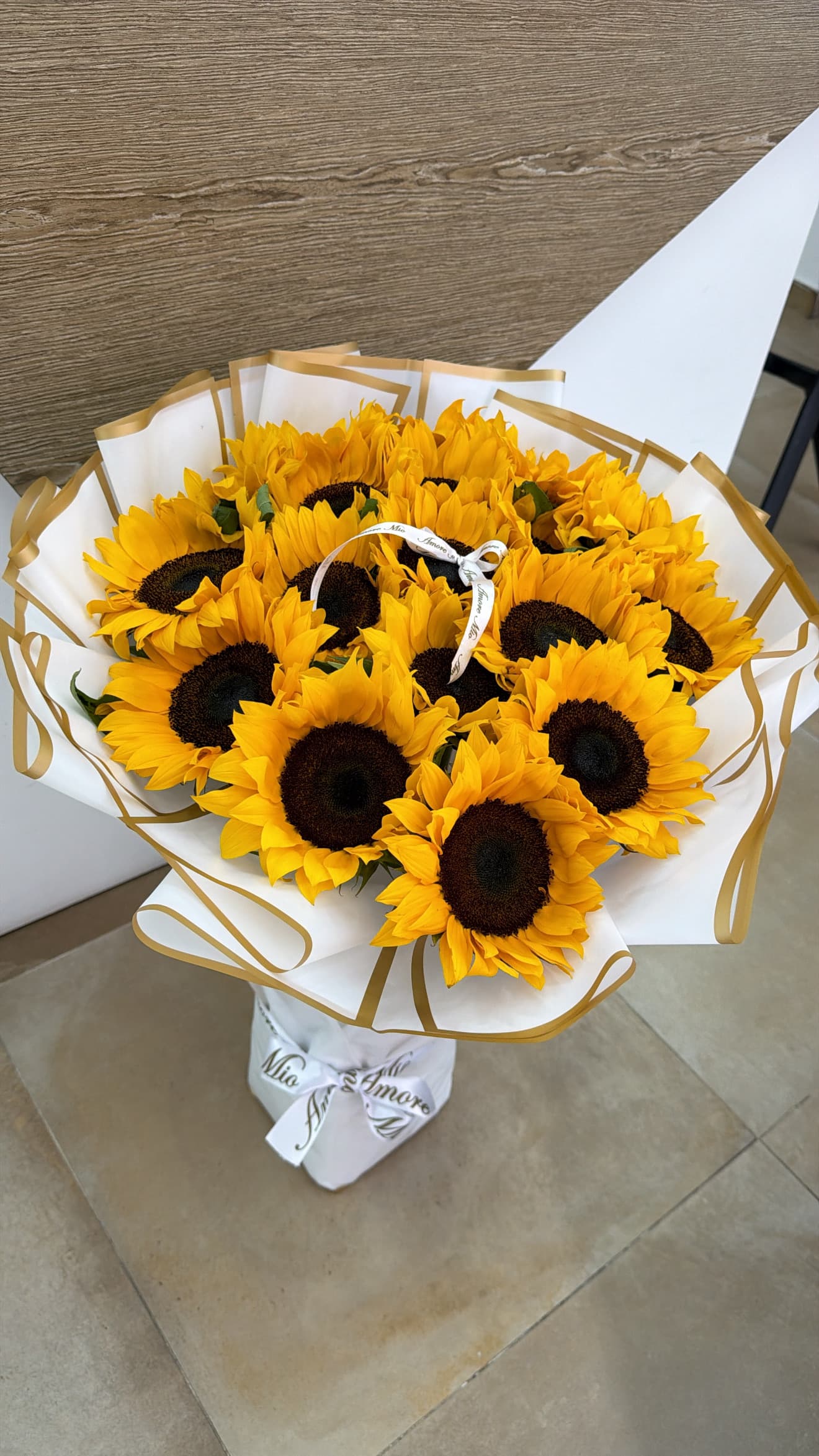 18-24 girasoles